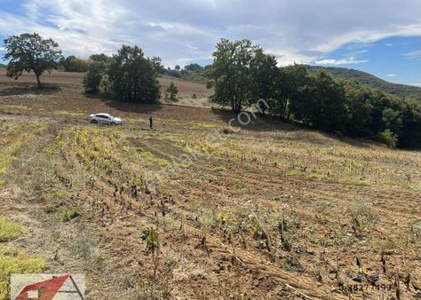 Söğüt Ortaca Köyünde Resmi Yola Cephe Satılık Tarla