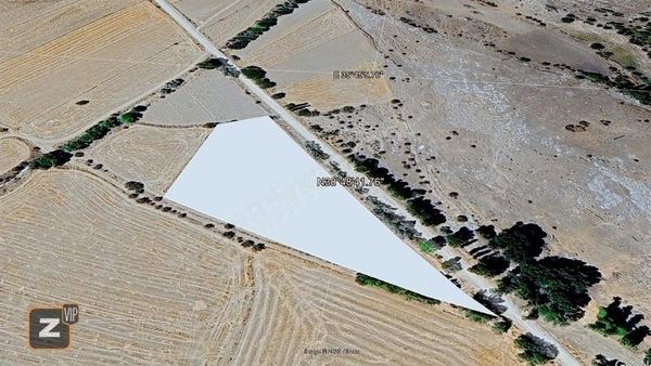 Gesi Subaşı Nda Satılık Tarla