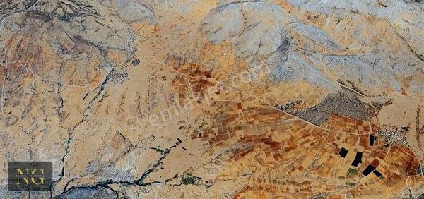 Karaman Merkez İki Tarafı Kadastro Yolu Üzüm Bağı