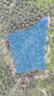 Kumla Konak Emlak;tan Satılık Zeytinlik