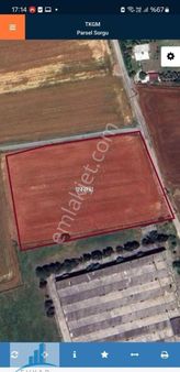 Türkmenli Köy İçi Caddeye Cephe Satılık Tarla