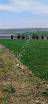 Gümüşyaka Da 668 M2 Hobi Bahçesi