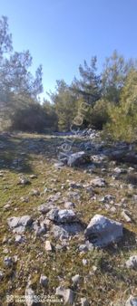 Denizova Mah 1.812m2 Satılık Tarla