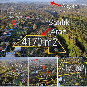 Mys İnşaat Emlaktan Satılık Verimli Fındık Bahçesi