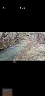 Mersin Mut Çömelek De Satılık Yaylalık