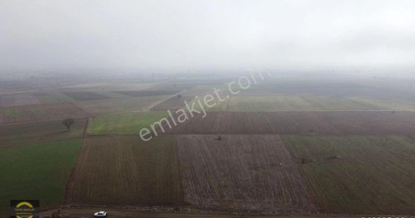 Dedebağ Mahallesi Tepe Group Gayrimenkulden'den 7.764 M² Tarla