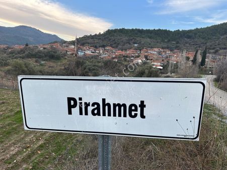 Manisa Soma Pirahmette Tek Tapu Satılık Zeytinlik