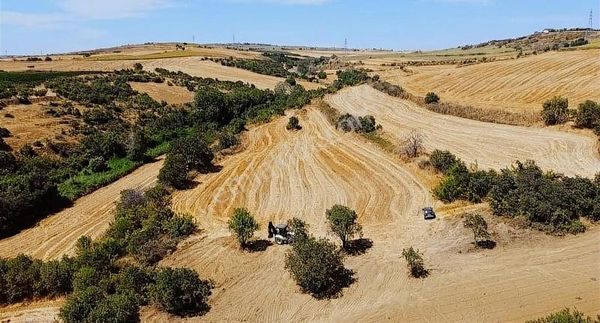 Ana Karayoluna Yakın