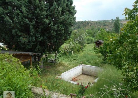 Uşak-çokkozlarda Çevre Yolu Cepheli 3000 M2 Bağ Ve Bağ Evi