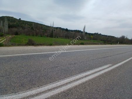 Göçmen Gayrimenkul'den Karacasu Da Satılık Bahçe