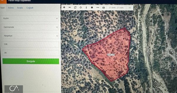 Aydın Germencik Neşetiye 11140 M2 Zeytinlik Satılık