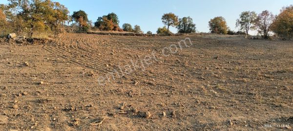 Yıldız Emlkak'tan Yatırımlık Arazi