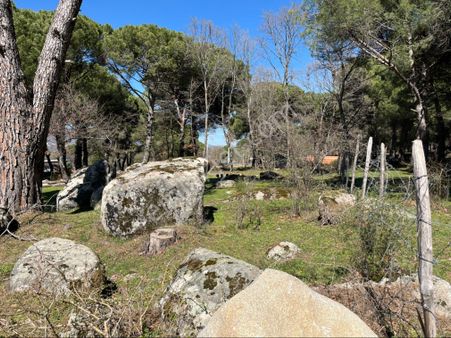 Kuzey Egenin En Pöpüler Ve Prim Yapan Bölgesinden Satılık Oksijen Deposu