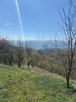 Kocaeli Kartepe Avluburun Köyünde 7.784 M2 Tarla