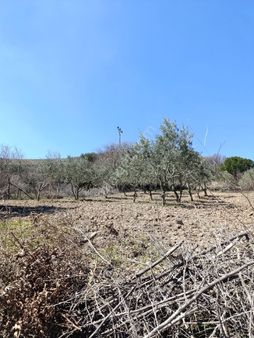 Gazı Emlak'tan 482 M2 Mustakil Tapulu Hobi Bahçesi