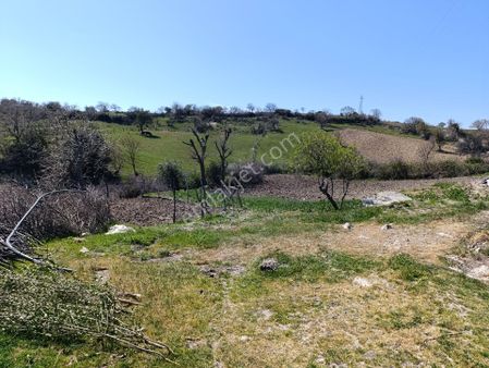 Gazi Emlak'tan Müstakil 1480 M2 Satılık Hobi Bahçesi