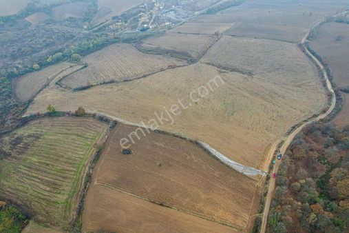 Alp Yapı Emlak'tan Manyas Doğancı Köyün'de 58 Dönüm Çiftlik İçin Uygun Tarlamız Satışta