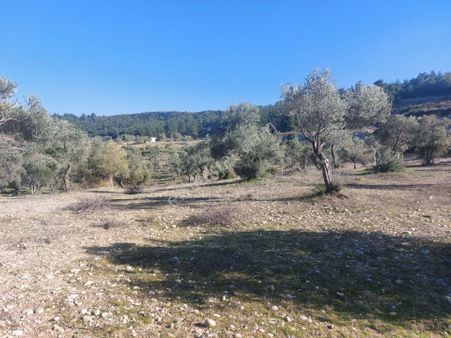 Torbalı Demirciköy De 6,702m2 Zeytinli Tarla