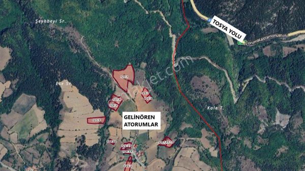 Kastamonu Emlak Gayrimenkul'den Satılık Gelinören 32592 M² Arazi