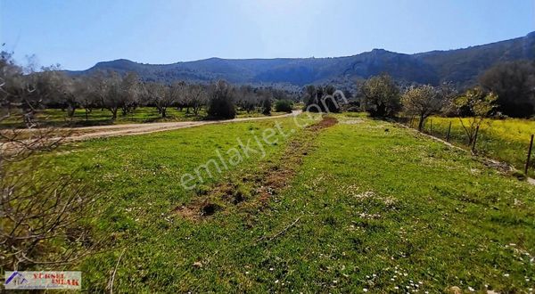 Balıklıovada Hobi Bahçesi Fiyatına Müstakil Tapulu Tarla