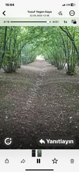 Sakarya Kaynarca Satılık Fındıklık