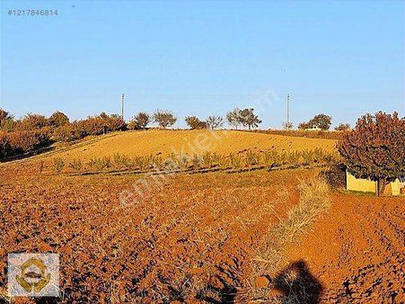 4700m2 Tek Müstakil Tapulu Gümenekte Her Türlü Takasa Açık Arazi