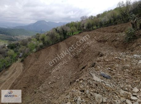 Alanya Da Satılık 25 Dönüm Tek Tapu Tarla Fırsat