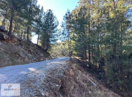 Alanya Mahmutseydi Meşeardı Satılık Tarla