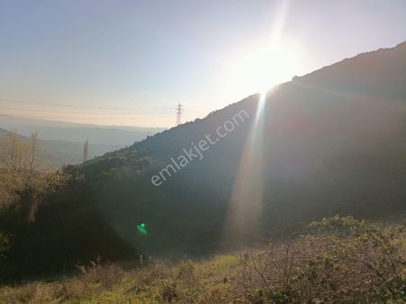 Alpasalan Emlak. 4515m2 Yol Kenarı Su İmkanlı Tarla