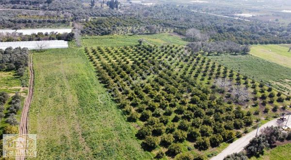 Acill Satılık 167 Metre Tarla