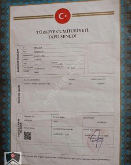 Manisa Demirci Bahçeli Mah 6000 M2 Mustakil Tapulu Tarlamiz Satılık