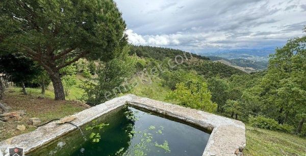 Oruşlar Köyünde Müstakil Tapulu 18200 M2 Tarlamiz Yeni Sahibini Bekliyor