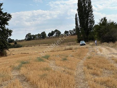 Kırklareli Kofçaz Kocatarla 1adet 1605m2 Çaplı Muvafakatnameli