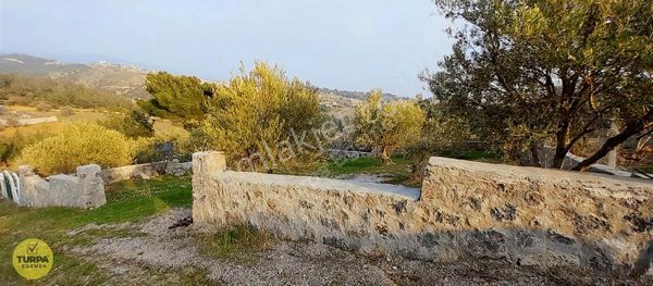 Kemalpaşa Damlacık Köyü Satılık Tarla