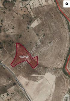 Tillo Fakirullah'ta 8 Buçuk Dönüm Satılık Bağ