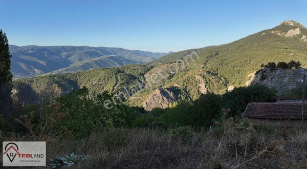Geyve Ahibaba'da 757m2 %40 Köy İçi İmarlı Satılık Arsa!