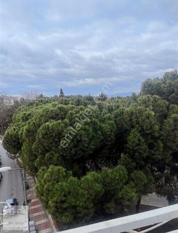 Aşağıçobanısa Da Satılık Arsa