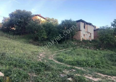 Bursa Yenişehir Terziler Köyünde Doğa Manzalı Müstakil Ev Arsası