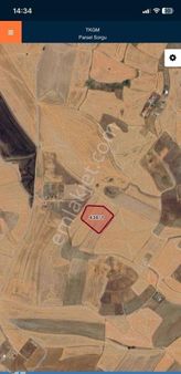 Beynam Ormanlarının Yakınında 400 M2 İmarlı Son 2 Hisse