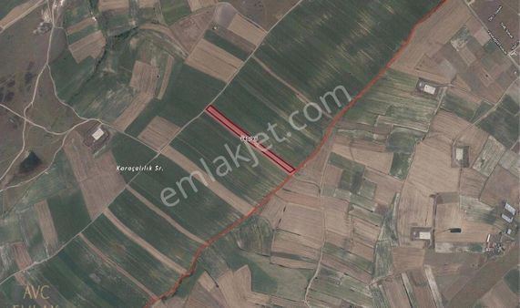 Tekirdağ Kapaklı'da Satılık Tarla