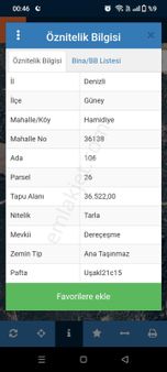 Çalışkan Emlak'tan Hamidiye'de Yatırımlık Zeytin Bahçesi