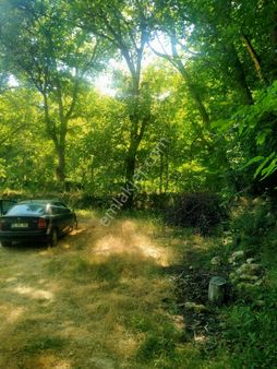 Hayat Emlaktan Karaman Merkez Yeşildere Köyünde Satılık Bahçe