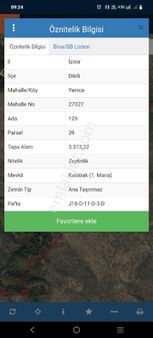 Acil Satılık Zeytinlik