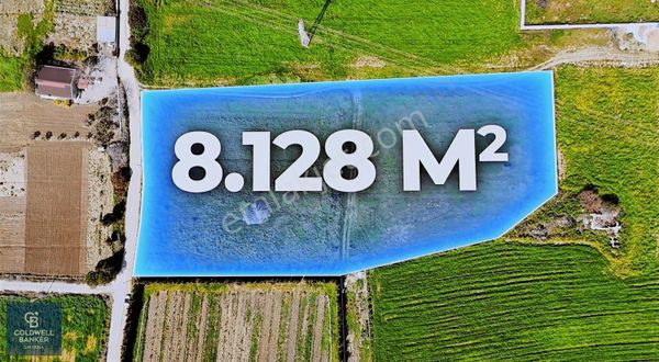 Çeşme Musallada 8.128 M2 65 M2 Yola Cepheli Tarla