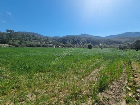 Muğla Menteşe Gevenes'de 4.775 M2 Satılık Düz Tarla