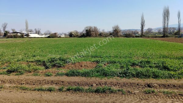 Alaattinbey Mah. Satılık Tarla