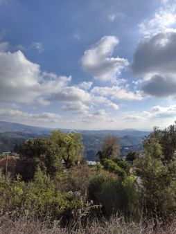 Kumluca Güzören'de Satılık 4 Dönüm Tarla