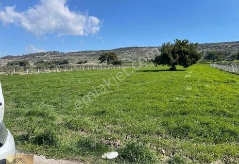 Kuşadası Kirazlı'da Satılık Hisseli Tarla Arazi