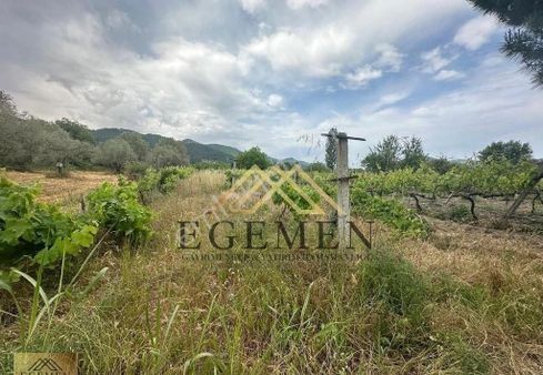 Kuşadası Kirazlı'da Hisseli Tapu Satılık Tarla