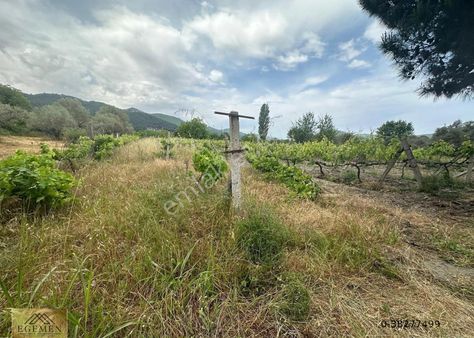 Kuşadası Kirazlı'da Köşe Konumlu Satılık Hisseli Tarla Arazi